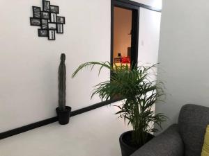 C1 Habitacion en Condesa Amsterdam