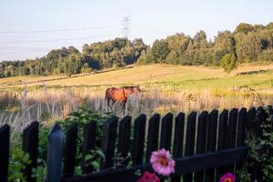 Miętowe Zacisze Zator