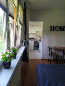 Good Morning Piaskowa Góra