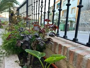 Casa Sofía - Cabrita