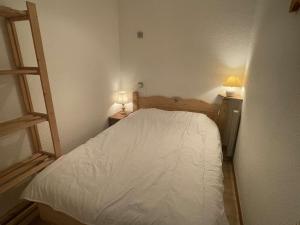 Appartements Charmant appartement a Praz Sur Arly - 5 personnes, parking et casier a ski - FR-1-603-13 : photos des chambres