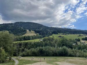 Appartements Charmant appartement a Praz Sur Arly - 5 personnes, parking et casier a ski - FR-1-603-13 : photos des chambres