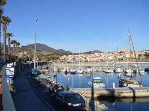 Appartements Appartement Banyuls-sur-Mer, 1 piece, 4 personnes - FR-1-225C-75 : Appartement (4 Adultes)