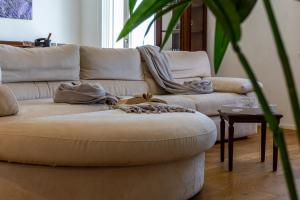 Sunichele Luxury Apartment img42