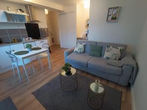 Appartements Studio calme et chaleureux en centre ville : photos des chambres