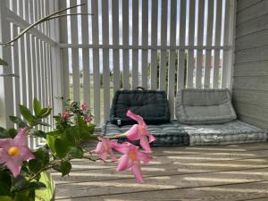 Chalets avec terrasse, draps inclus à Pierrefitte-sur-Loire - FR-1-489-360