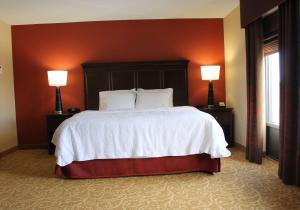One-Bedroom King Suite with Whirlpool - Non-Smoking  room in Hampton Inn Gettysburg
