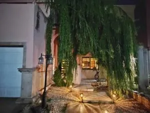 casa consulado - Manuel F. Martínez