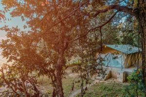 Nayalap - Rural Himalayan Glamping