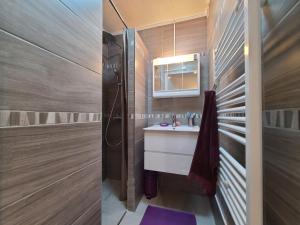 Appartements Studio Les Carroz d'Araches, 1 piece, 4 personnes - FR-1-572-284 : photos des chambres