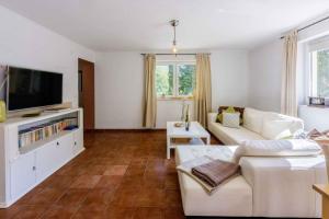 Apartments in Tribalj 41650 