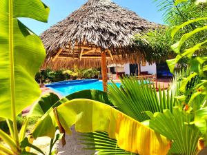 Mkeka Spice Lodge Jambiani