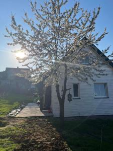 Mały biały domek Wadowice SPA jacuzzi sauna Gorzen blisko Wadowic