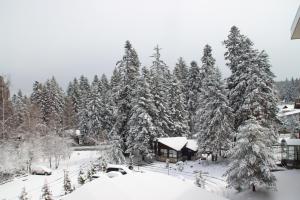 Charming one bed apartment 423 in main Flora building