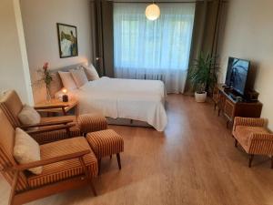 Šeimos Būstas Homestay