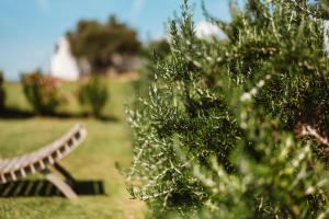 Auberge Santu Martine: cottage with pool (Vinza) img68