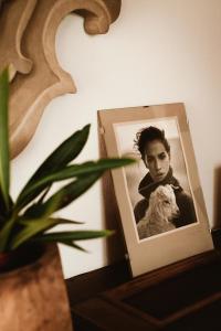 Auberge Santu Martine: cottage with pool (Vinza) img91