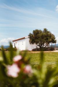 Auberge Santu Martine: cottage with pool (Sughera) img97