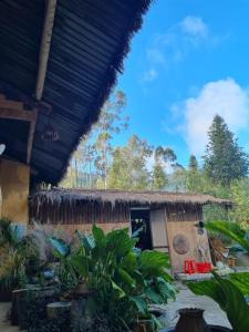 Dong van hmong homestay