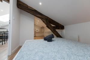 Appartements KASA NOVA - Tout equipe & CLIMATISATION : photos des chambres