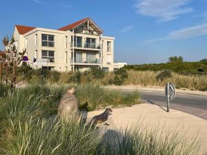 Appartements La Perle des Dunes - Vue imprenable Mer & Dunes : photos des chambres