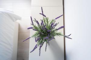 Avenida de Asturias Apartment B