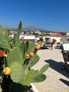 Residenza Parco Gioeni