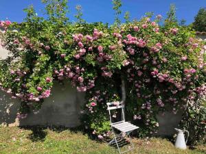 Maisons de vacances Bonheur Nature : photos des chambres