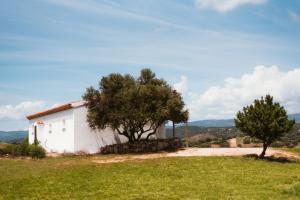 Auberge Santu Martine: Cottage with pool (Pira) img60
