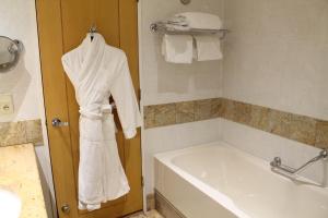 Hotels Hilton Paris Charles De Gaulle Airport : photos des chambres