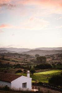 Auberge Santu Martine - Cottage with Pool - Ischierda img74