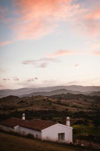 Auberge Santu Martine - Cottage with Pool - Ischierda img85