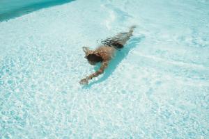 Auberge Santu Martine - Cottage with Pool - Ischierda img95