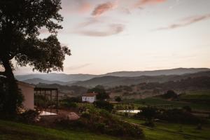 Auberge Santu Martine: Cottage with Pool (Manca) img80