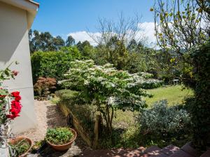 Apartamento Rural Margaride