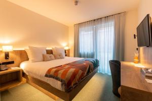 Double Room room in Hotel Bristol Premium