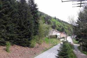 Maisons de vacances GERARDMER Gite Camomille Classe *** : photos des chambres