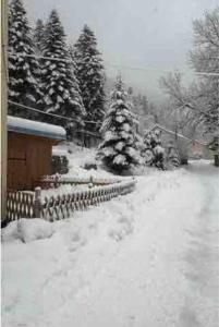 Maisons de vacances GERARDMER Gite Camomille Classe *** : photos des chambres