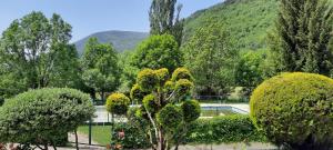 El Estudio de Buenavista