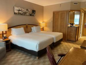 Hotels Hilton Paris Charles De Gaulle Airport : Chambre Lits Jumeaux Classique