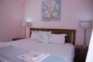 Accommodation at Potch Guesthouse