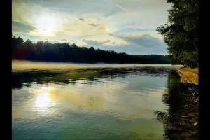 Perfect Lake Retreat - Mountain Pine