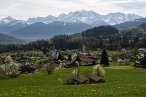 Chalets Chalet Perle du Perron : photos des chambres