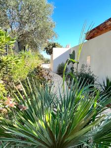 Villas La Maison de la Genette - 5 etoiles : photos des chambres