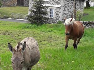 Maisons de vacances Gite Carlat, 3 pieces, 4 personnes - FR-1-742-291 : photos des chambres