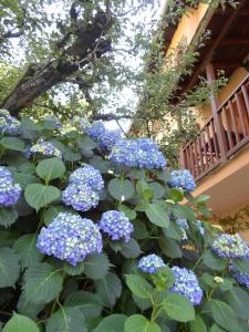 Filoxenia Pelion Greece