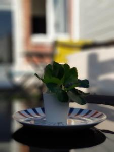 Le Chat Bleu - Terrasse sur les toits - Wifi