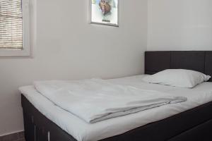 Črni Baron Pension Black Baron 