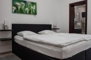 Črni Baron Pension Black Baron 