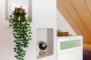 Chalet Like Upstairs Private Suite